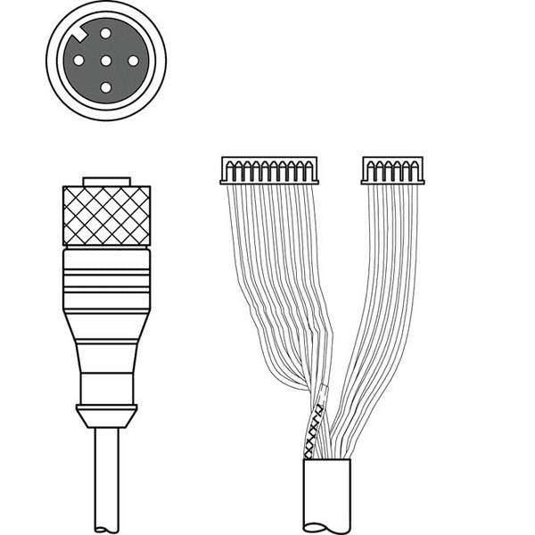 L-K-DS M12A-MA-5P-3m-S-PUR0